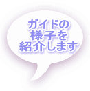 �K�C�h�� �l�q�� �Љ�܂� 